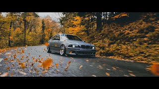 One day in the forest ... Static stance BMW E39.