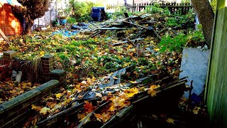 'It Looks Like A Bomb Has Gone OFF!'  My Biggest Garden Clearance So Far!