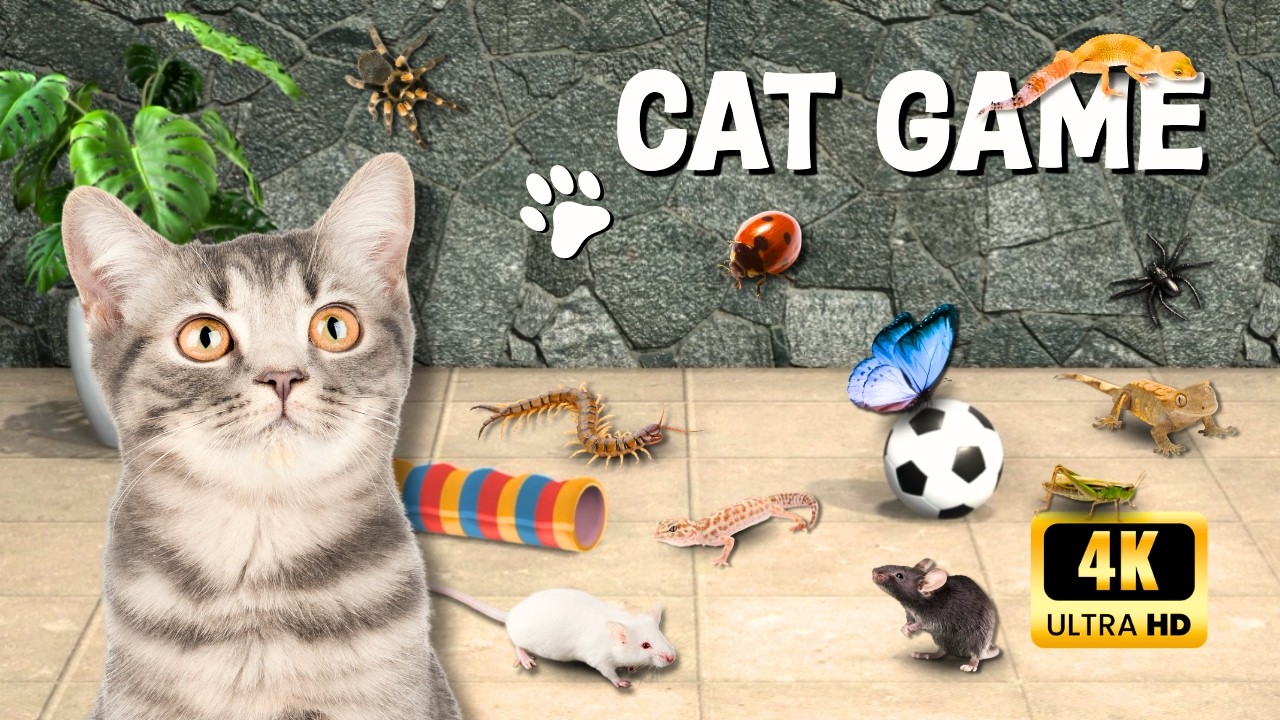 Games For Cats On Screen 🐭 Tiny Creatures in Action | Cat Game TV ...