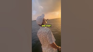 Stop Scrolling! Start Grinding: Your Future Depends on It!