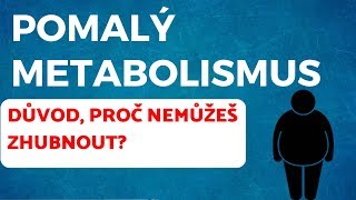 POMALÝ METABOLISMUS - Opravdový problém nebo výmluva?