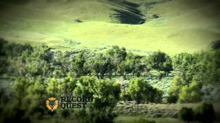 Record Quest: Reading the Landscape for Deer