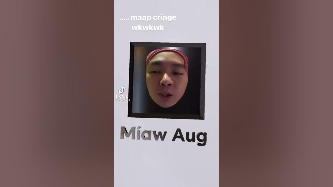 Filter intro Miawaug |bikin ngakak ekspresi Miawaug