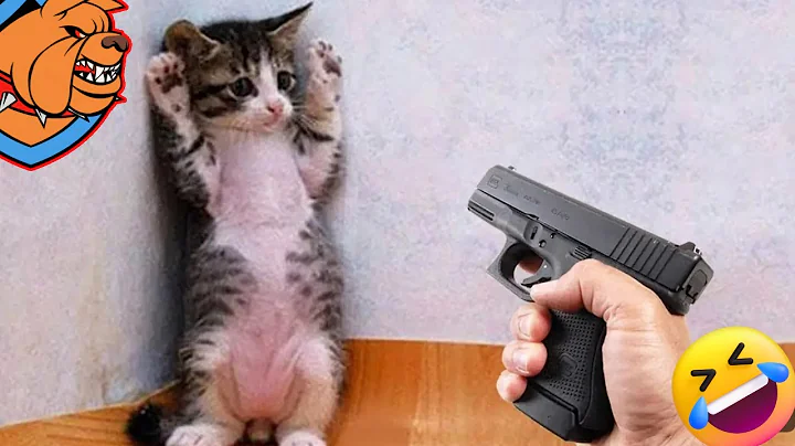 Watch the video about Funniest ANIMALS on the PLANET🐈funny DOGS,CATS videos 2025🐾the Most Adorable funny ANIMALS club😺