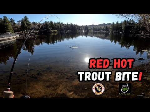 How To Fish Micro Jigs For Stubborn Summer Trout 