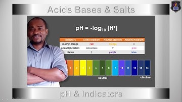 Acids, Bases and Salts | pH and Indicators | Chemistry Tutorial