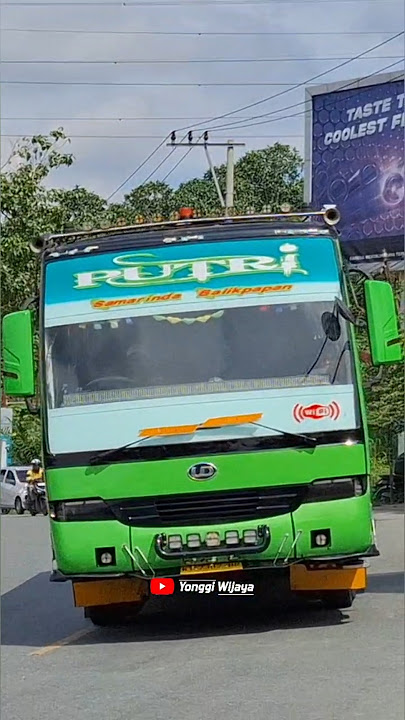 Klakson Soak 🗿 Bus Sapulidi PUTRI #buskalimantan #nissandiesel