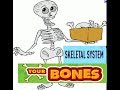 Human Skeleton and Bone Health