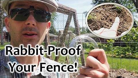 Rabbit-Proofing Fence? Try this!