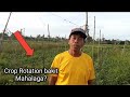 Crop Rotation: Magtanim ng Sitaw pagkatapos mag harvest ng huling bunga ng Ampalaya?