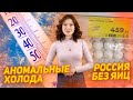 Дефицит яиц. Аномальные холода