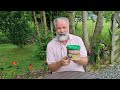 Fertilizante Orgânico Fermentado Vila Verde – Segredo dos Jardins Profissionais 🌱