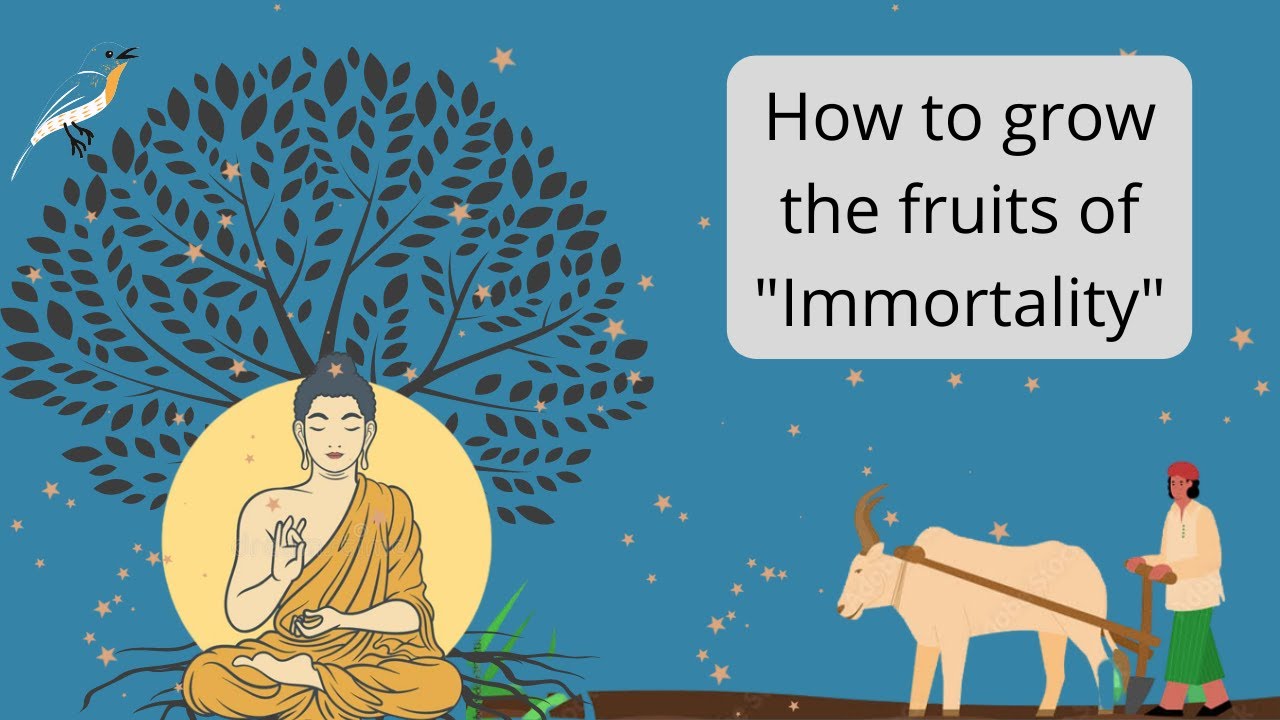 How to grow fruits of Immortality by Buddha. Inspiring Buddha Tales