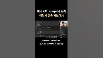 파이토치 .shape의 원리 진짜 쉽게 이해하기