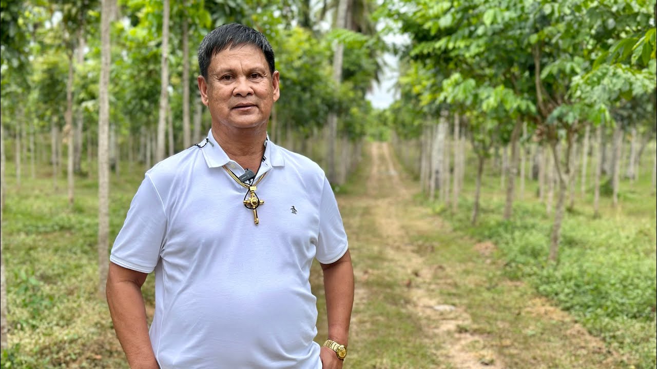 ⁣Narra tree farm: First time makikita, may ganito pala! Bakit sila nag tanim, kahit sobrang gastos?