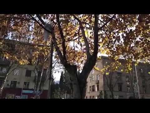 \" მოგწონთ თუ არა ეს ვიდეო? კი, არა \"