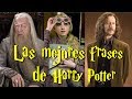 Las mejores frases de Harry Potter