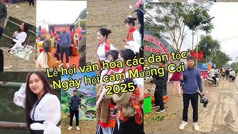 Lễ hội văn hóa các dân tộc và ngày hội cam Mường Cơi 2025 - Phùng Luật TV 