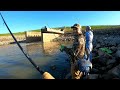 Pesca de Híbridos White Bass Crappie y Bagres