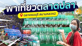 เดินดูปลาสนามหลวง2 (ตลาดธนบุรี) -SNC FISHROOM #ตลาดปลาสวยงาม #สนามหลวง2 #ตลาดปลา #ซื้อปลา