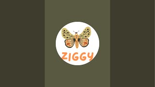 Ziggy is live!