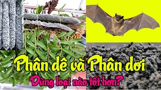 Phân Dê Và Phân Dơi. Dùng Loại Nào Sẽ Tốt Hơn ?