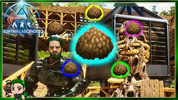 Kibble A-Z Everything You Need to Know in Ark Survival Ascended