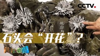 《地理·中国》 20240516 探秘罗霄山1·石中乾坤|CCTV科教