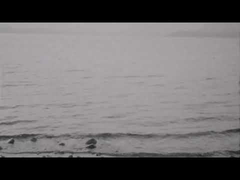 Loving — LOVING - NO MAST
