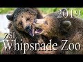 ZSL Whipsnade Zoo