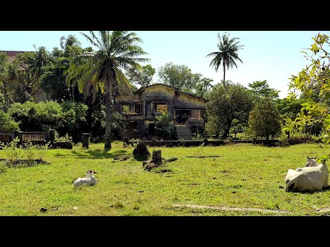 Vidéo: La Ville De Kep Au Cambodge