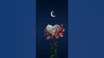 اجمل حالات واتس اب قران كريم بصوت يريح القلب والروح #قران_كريم #ستوريات