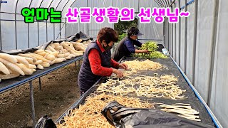 Download Lagu 시골생활에 있어 엄마는 선생님이에요~ MP3 Download Lagu 시골생활에 있어 엄마는 선생님이에요~ MP3