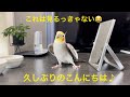 2025.4.21 必見!!!久しぶりのこんにちは♡