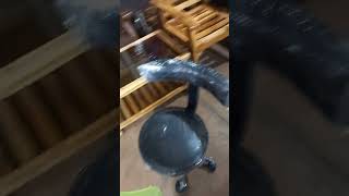 chair shopping