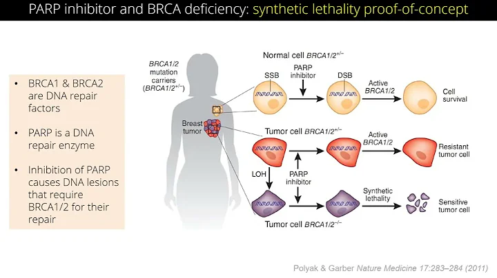 Center for BRCA & Related Genes 2022 Scientific Sy...