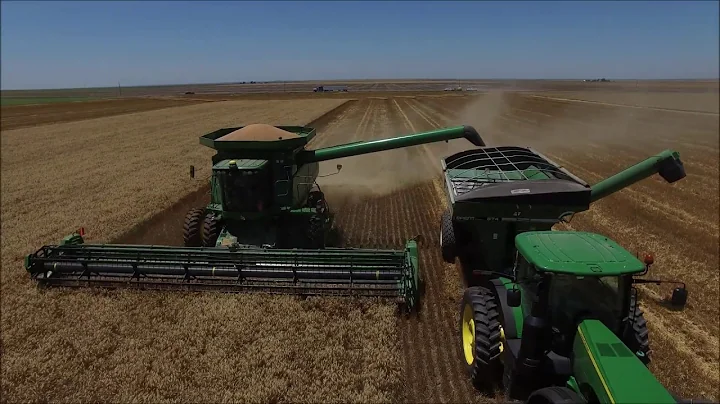 Ediger Farms Wheat Harvest