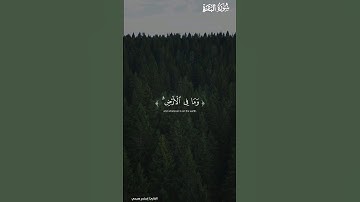 آية الكرسي بصوت القارئ إسلام صبحي ❤️❤️ | #قرآن_كريم #تلاوة_خاشعة #اية_الكرسي