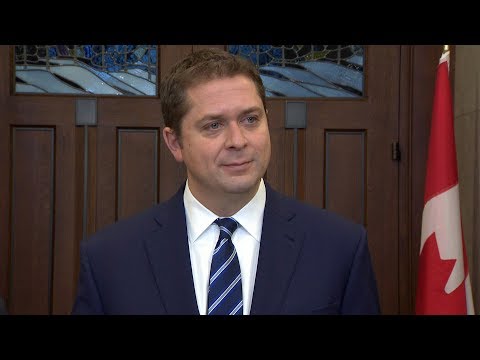 Scheer's future as Conservative leader questioned amid rumours of campaign to oust him