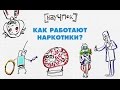 Как работают наркотики? — Научпок