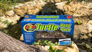 Unboxing the NEW ZooMed Turtle Dock & Lola the Cuban Iguana Visit!!!