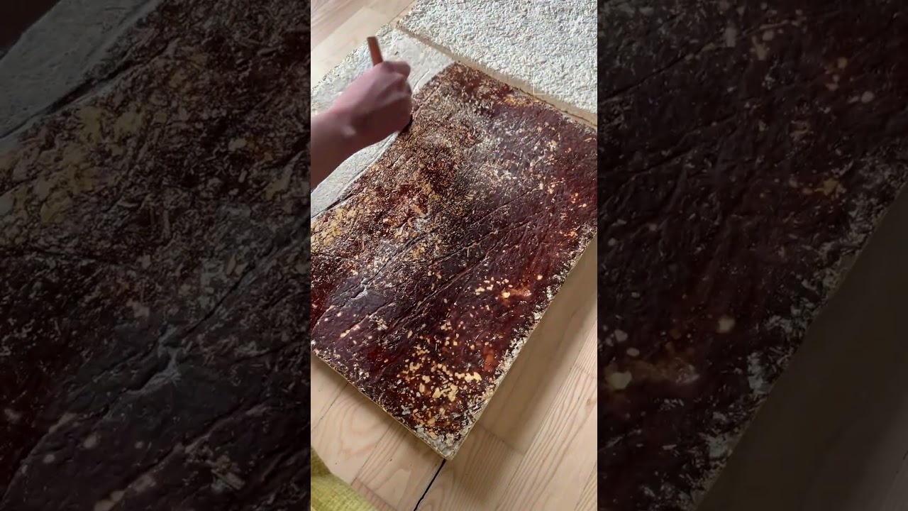 Mycelium Lab: Bridging Modern Design with Sustainable Mycelium Solutions