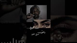 ابراهيم الصافي - صبر العاشقين 🖤