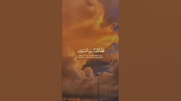 سورة الجاثية