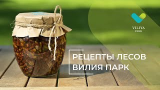 Рецепт варенья из сосновых побегов | Viliya Park