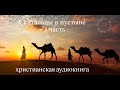 ''Скитальцы в пустыне'' - 1 часть - христианская аудиокнига - читает Светлана Гончарова