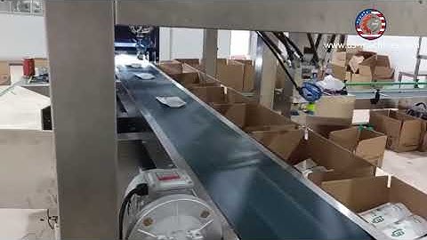 Salt bag robot hand sorting feeding cartoning machine automatic robot hand pick sorter encasing line
