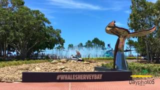 53 Bradman Way, Urangan