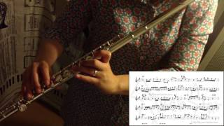 Moon River(Hans Ulrik) - jazz flute cover with score