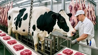 картинка: Как Производится Говядина Мегафабрика Мяса